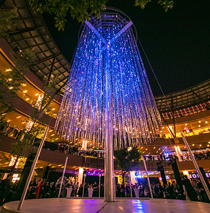 “光影上！！！钡乒庖帐踅谒飨钅