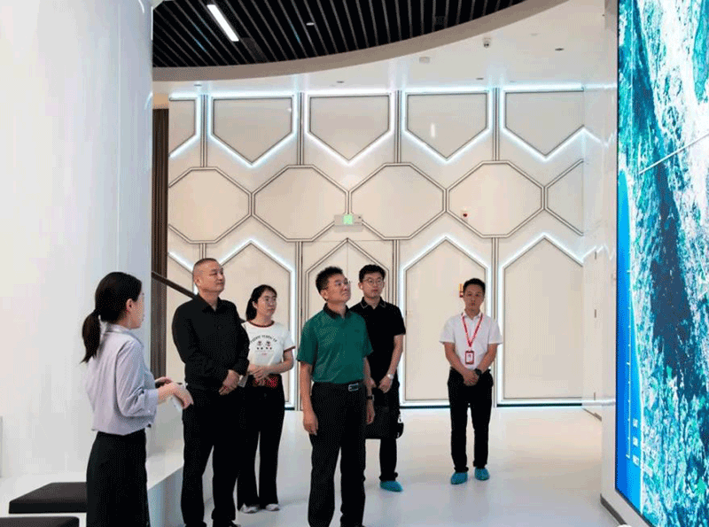 太阳集团tyc539(股份)有限公司官网