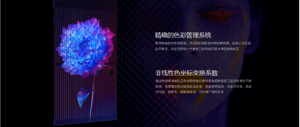 太阳集团tyc539(股份)有限公司官网