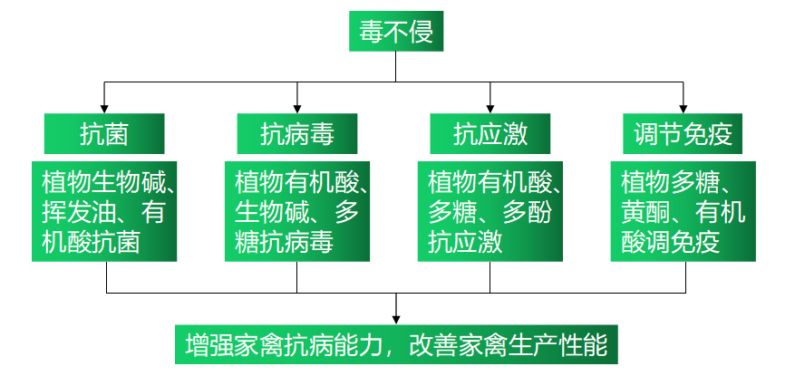 6115c6063522e 6115c6063522e