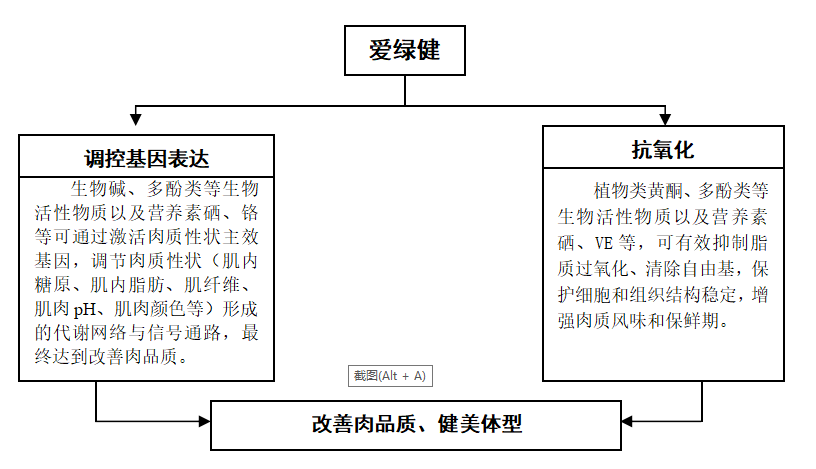 6115d4648a1e5 6115d4648a1e5
