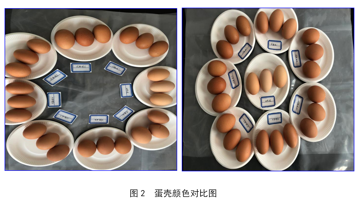 中国·9888拉斯维加斯(集团)有限公司-官方网站