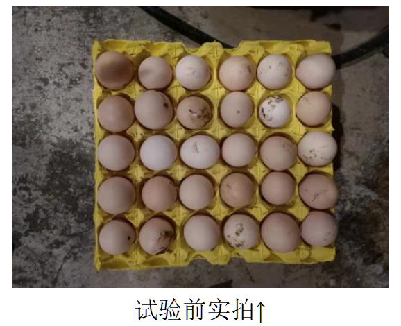 中国·9888拉斯维加斯(集团)有限公司-官方网站