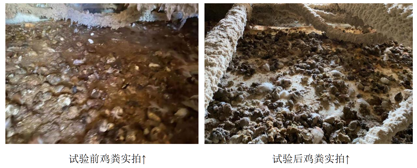 中国·9888拉斯维加斯(集团)有限公司-官方网站