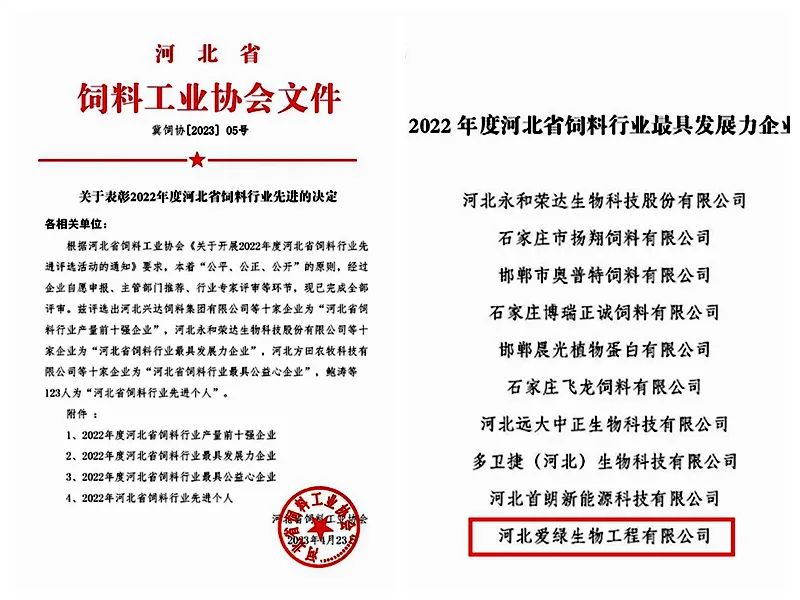中国·9888拉斯维加斯(集团)有限公司-官方网站